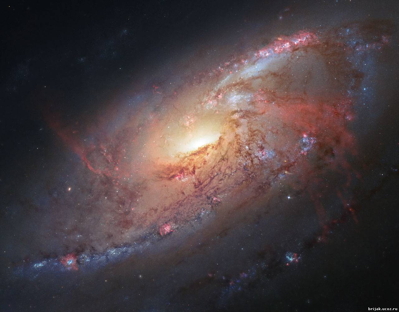 Галактика М-106 в созвездии "Гончие псы"